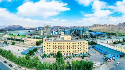 全國僅兩家電石企業獲這個國家級榮譽 東方希望烏海電石拿到了!